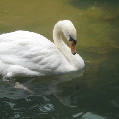 Päivi Jyrkinen - Twitter Profile Picture of Päivi Jyrkinen (@JyrkinenPaivi) on Twitter