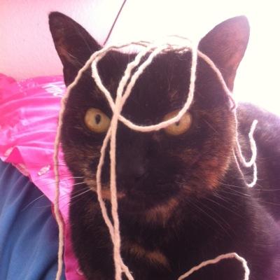 Profile Picture of Jo Cordell (@buttonitstripey) on Twitter