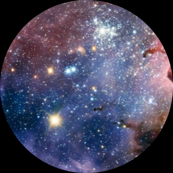 Profile Picture of Cody John (@codybuckster) on Poshmark