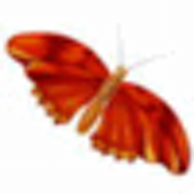 Profile Picture of Sandra Brewster (@brewster_sandra) on Twitter