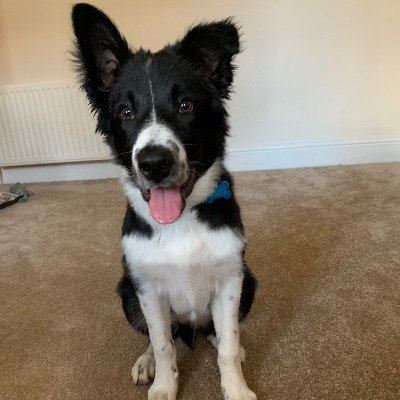 Profile Picture of Josh Edmonds (@chemistry_josh) on Twitter