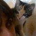 Profile Picture of claudia tobias (@claudiarstobias) on Pinterest