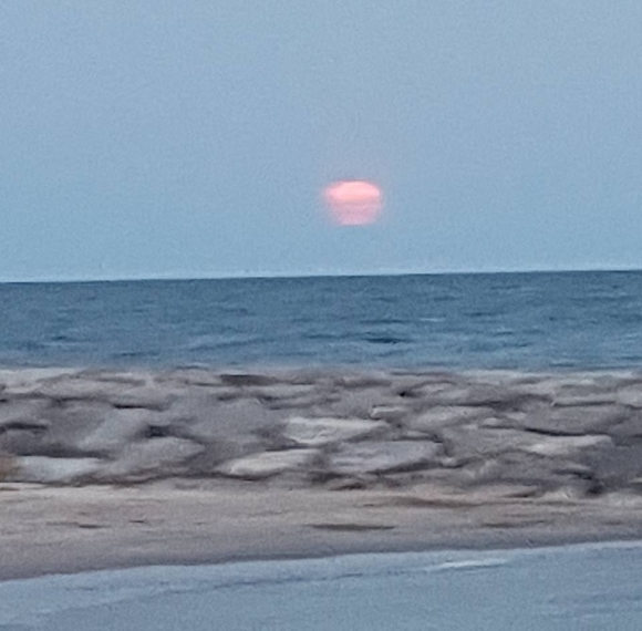 Mushtaq Khan - Poshmark Profile Picture of Mushtaq Khan (@mushtaqkh) on Poshmark