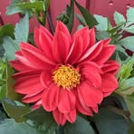 Profile Picture of Maria Eriksson (@Maria-Eriksson) on Facebook