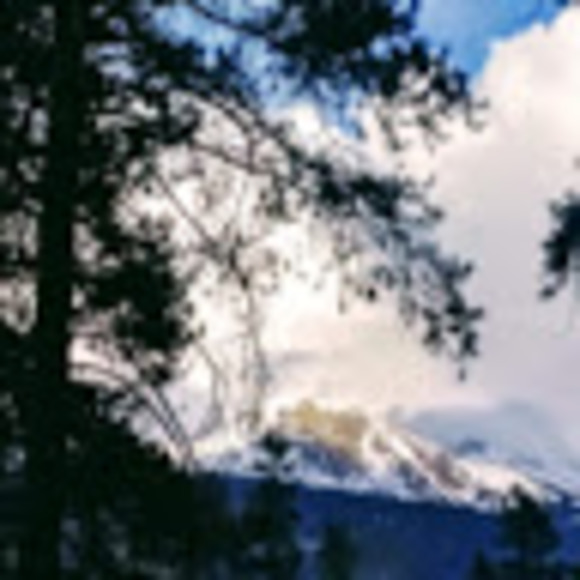 Profile Picture of Shane Markwart (@s_markwart) on Poshmark