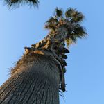 Profile Picture of McKenna Gallagher (@mckgphotography) on Instagram