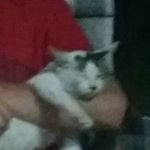 Profile Picture of Amelia Ferrer (@amelia_____fer96) on Instagram