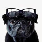 Profile Picture of Fábián András (@andy_fabian11) on Instagram