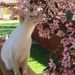 Profile Picture of Lynne Stokke (@eugenealvin) on Pinterest