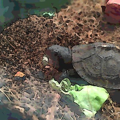 Profile Picture of Vincent Stabile (@StabileVincent) on Twitter