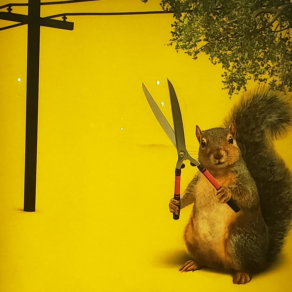 Profile Picture of Andrew Valencia (@wolfiesink) on Poshmark