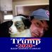Profile Picture of Barry Burrows (@barry.burrows.9) on Facebook