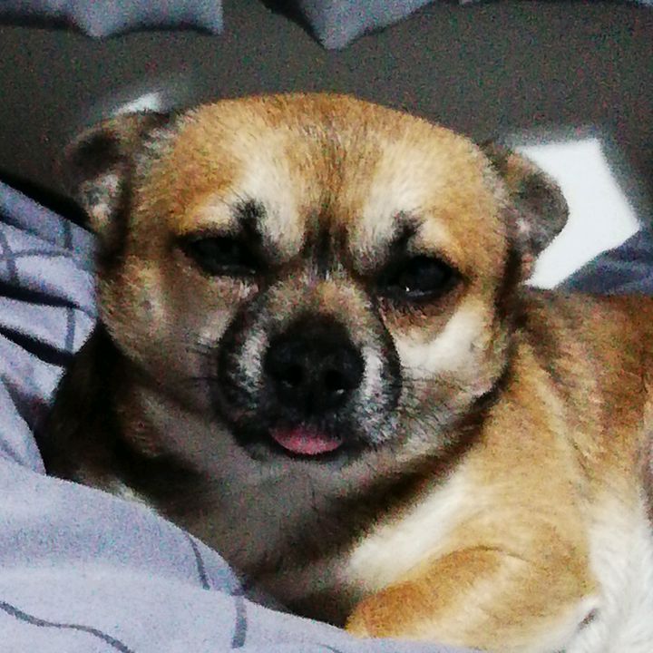 Profile Picture of Stephen Mac (@stephemac) on Tiktok