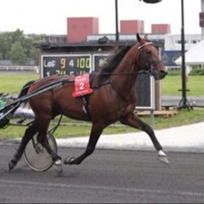 Profile Picture of Truls Dishington (@TrulsDishington) on Twitter