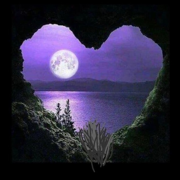 Profile Picture of Carol Ceffalia (@curlyboy3) on Poshmark