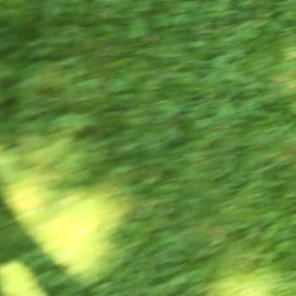 Justin Njila - Poshmark Profile Picture of Justin Njila (@njijust) on Poshmark