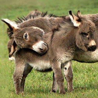 Robert Valléry - Facebook Profile Picture of Robert Valléry (@robert.vallery.54) on Facebook