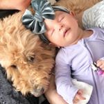 Profile Picture of Carter Jade (@carterjadewolfe) on Instagram