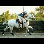 Profile Picture of Sarah Runnells Martin (@smartinesq) on Instagram