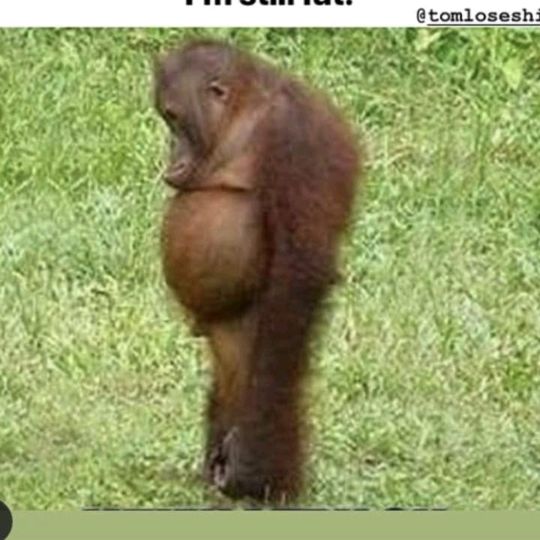 Profile Picture of doughman (@doughman421) on Tiktok