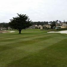 Profile Picture of Michael Hutchison (@mhutch26) on Twitter