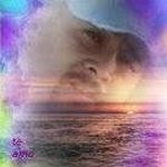 Profile Picture of Lorin Oeli Alvarado Torrealba (@lorinoeli) on Instagram