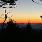 Profile Picture of Joseph Supik (@thunder.gas.9) on Facebook