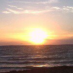 Profile Picture of Fonsino (@alfonsosalinco) on Instagram