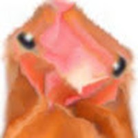 Profile Picture of Michael Conrady (@michael-conrady-1) on Quora