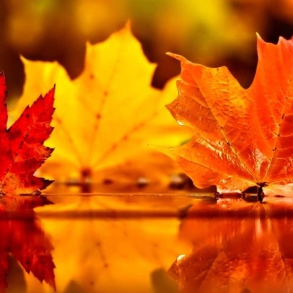 Profile Picture of Emm Bliven (@emmbliven) on Poshmark