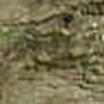 Profile Picture of Pankaj  Upadhyay (@upadhyay_007@yahoo.com) on Flickr