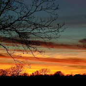 Profile Picture of Michael Bartosh (@MichaelBartosh) on Youtube