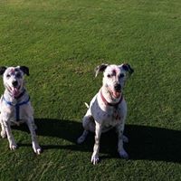 Profile Picture of Jodi Mull (@jodi-mull) on Quora