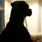 Grant Yarbrough - Instagram Profile Picture of Grant Yarbrough (@granthyarbrough) on Instagram