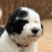 Profile Picture of Tommy Adams (@expony18) on Youtube