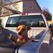 Profile Picture of Jason Loks (@jasonloks) on Pinterest