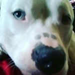 Profile Picture of Devon harrington382315 (@harringdevon) on Instagram