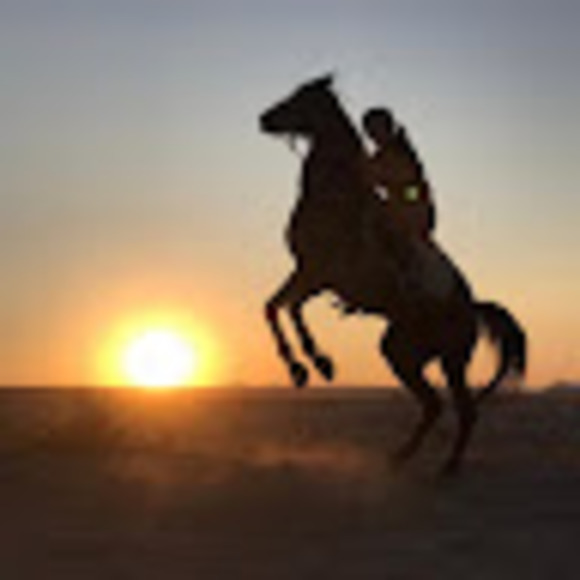 Copelyn Fedorchuk - Poshmark Profile Picture of Copelyn Fedorchuk (@copelynaddisonf) on Poshmark