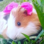 Profile Picture of cindy baunilha (@cindybaunilha) on Instagram