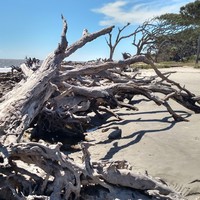 Jeff Petersohn - Quora Profile Picture of Jeff Petersohn (@jeff-petersohn-1) on Quora