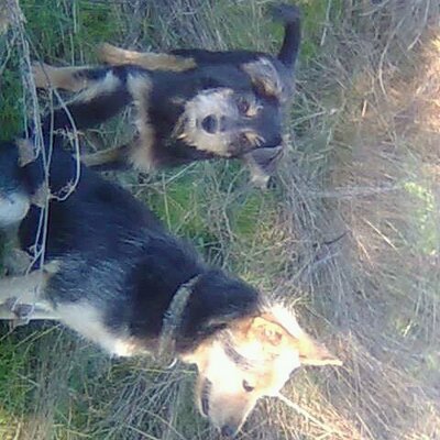 Profile Picture of David Alonso Cerezo (@davidcerezo2779) on Twitter