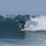 Julian Moss - Instagram Profile Picture of Julian Moss (@julian.moss_) on Instagram