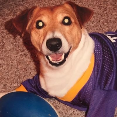 Profile Picture of David Parish (@badgernceltic) on Twitter