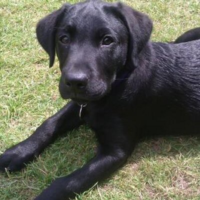 Profile Picture of Wayne Tompkins (@wayneltompkins) on Twitter