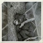 Profile Picture of Mark McCandless (@mccandless_mark) on Instagram