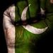 Profile Picture of Khalid Aslam (@khalidaslam899) on Pinterest