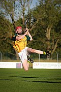 Profile Picture of Thomas Monaghan (hurler)on Wikipedia