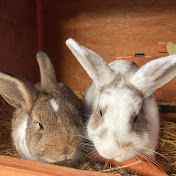 Profile Picture of Peter Klaus (@peterklaus-ze9jm) on Youtube