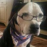 Profile Picture of Adam Foster (@foster.adam) on Instagram