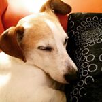 Profile Picture of Chris Askey (@magentaclouds) on Instagram